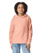 Comfort Colors Youth Lightweight Hooded Sweatshirt  