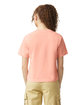 Comfort Colors Ladies' Heavyweight Cropped T-Shirt PEACHY ModelBack